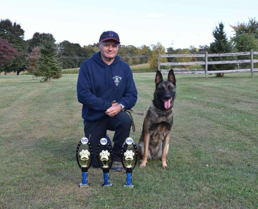 award winning protection k9 dogs